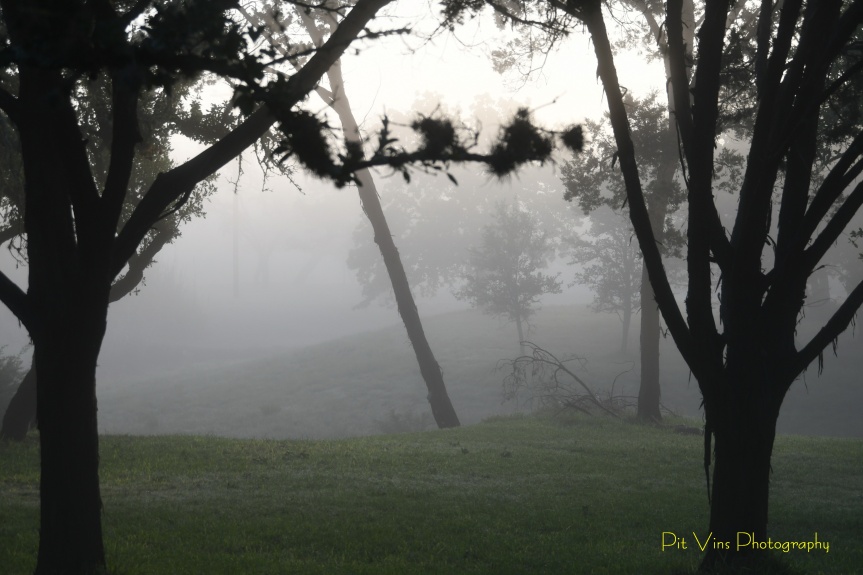 creekside misty Morning