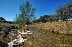 South Grape Creek