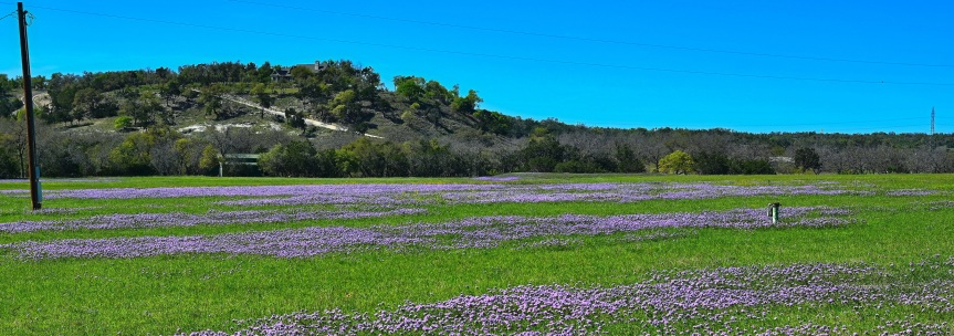 Awakening of Spring in the Texas Hill Country
